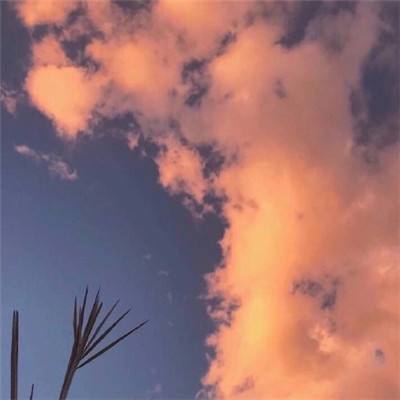 澳门2023全年免费资料大全